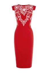 EMBROIDERED PENCIL DRESS at Karen Millen